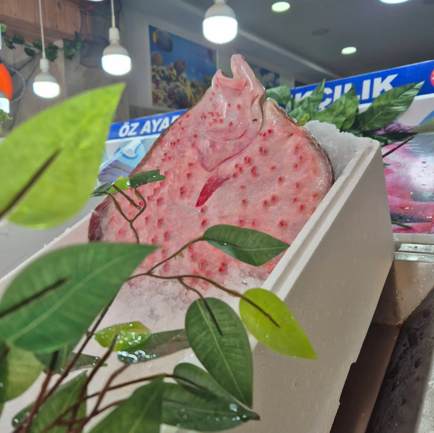 Öz Ayabakan Balık Pişirme Evi galeri görseli 9